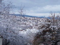 20171120_061504.jpg