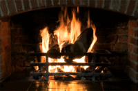 IMG_1073.GIF