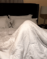 VCXL86p.gif