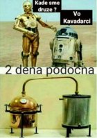 FB_IMG_1511606373992.jpg