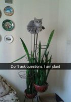 FB_IMG_1512414799562.jpg