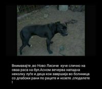FB_IMG_1512690420226.jpg