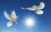 JYJSnEO-world-peace-wallpaper.jpg