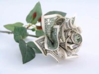 68409-400x300-Money_rose.jpg