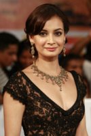 4e800e6a4f57bccb388c3bde7468c3d1--dia-mirza-indian-bridal-wear.jpg