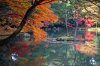 kyoto_autumn.jpg