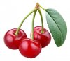 cherries-5472.jpg