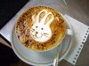 bunny.jpg