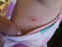 20171209_103416.jpg