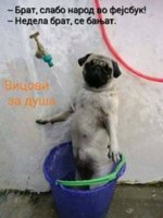 FB_IMG_1511731450646.jpg
