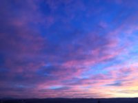 IMG_1237.JPG