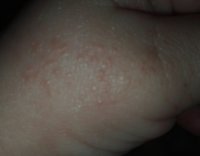 IMG_20171212_122603.jpg