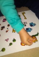 IMG_20171220_145606.jpg