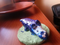 20171220_113339.jpg