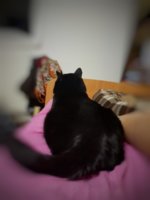 20171227_172135-01.jpeg