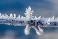 ice-crystals_full_width.jpg