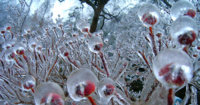 natural-winter-ice-snow-art-fb__700.jpg