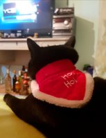 20171231_214644.jpg