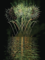 Feuerwerks-gif.gif