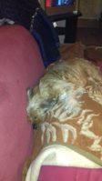 20180107_205730.jpg