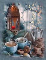 f504f87e3398b067d0364182bcb78e5c--christmas-images-winter-christmas.jpg