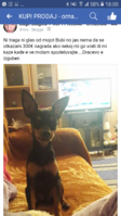 Screenshot_20180113-180033.png