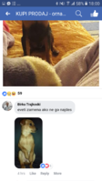 Screenshot_20180113-180049.png