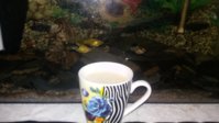 20180114_010743.jpg