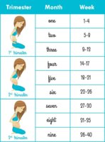 Week-to-Month-Pregnancy-Chart.jpg