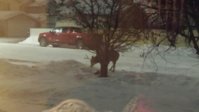 20180127_210520_resized.jpg