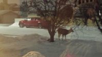 20180127_210552_resized.jpg