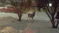 20180127_210640_resized.jpg