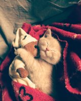 IMG_20180128_095529.jpg