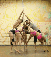 giphy (3).gif