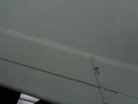 DSC00479.JPG