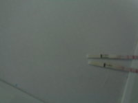 DSC00482.JPG