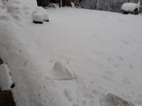 20180211_102427.jpg