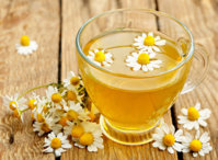 chamomiletea.jpg
