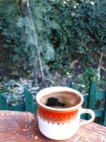 20180217_163302.jpg