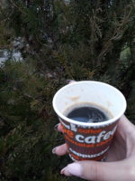 20180219_151931.jpg