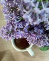 ^7F853526C7D6E6B4EDF1C05A87E478C561CA3135724B7D72B0^pimgpsh_fullsize_distr.jpg