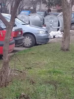 20180222_141537.jpg