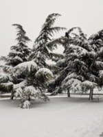 20180226_161130.jpg