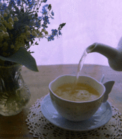 tumblr_nzlobtSqOJ1tic679o1_500.gif