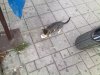 281020111685.jpg