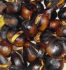 chestnuts-1.jpg