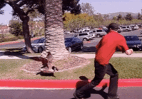 bezanje-od-opasnosti-resize.gif
