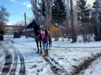 20180303_235446.png