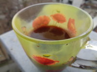 DSC00527.JPG