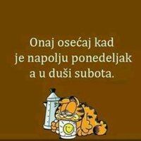 d77353ad40dacc290bfbb2c9f28790a5.jpg